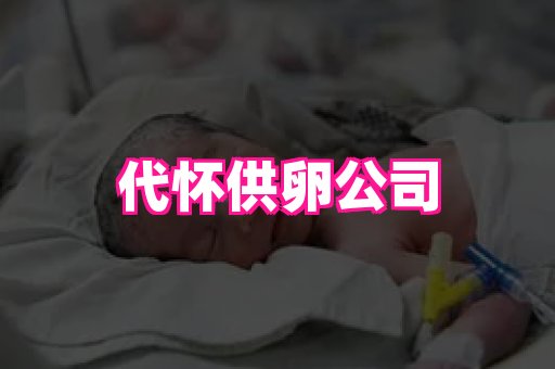 gfg孕网 1