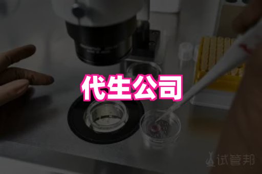 gfg孕网 4